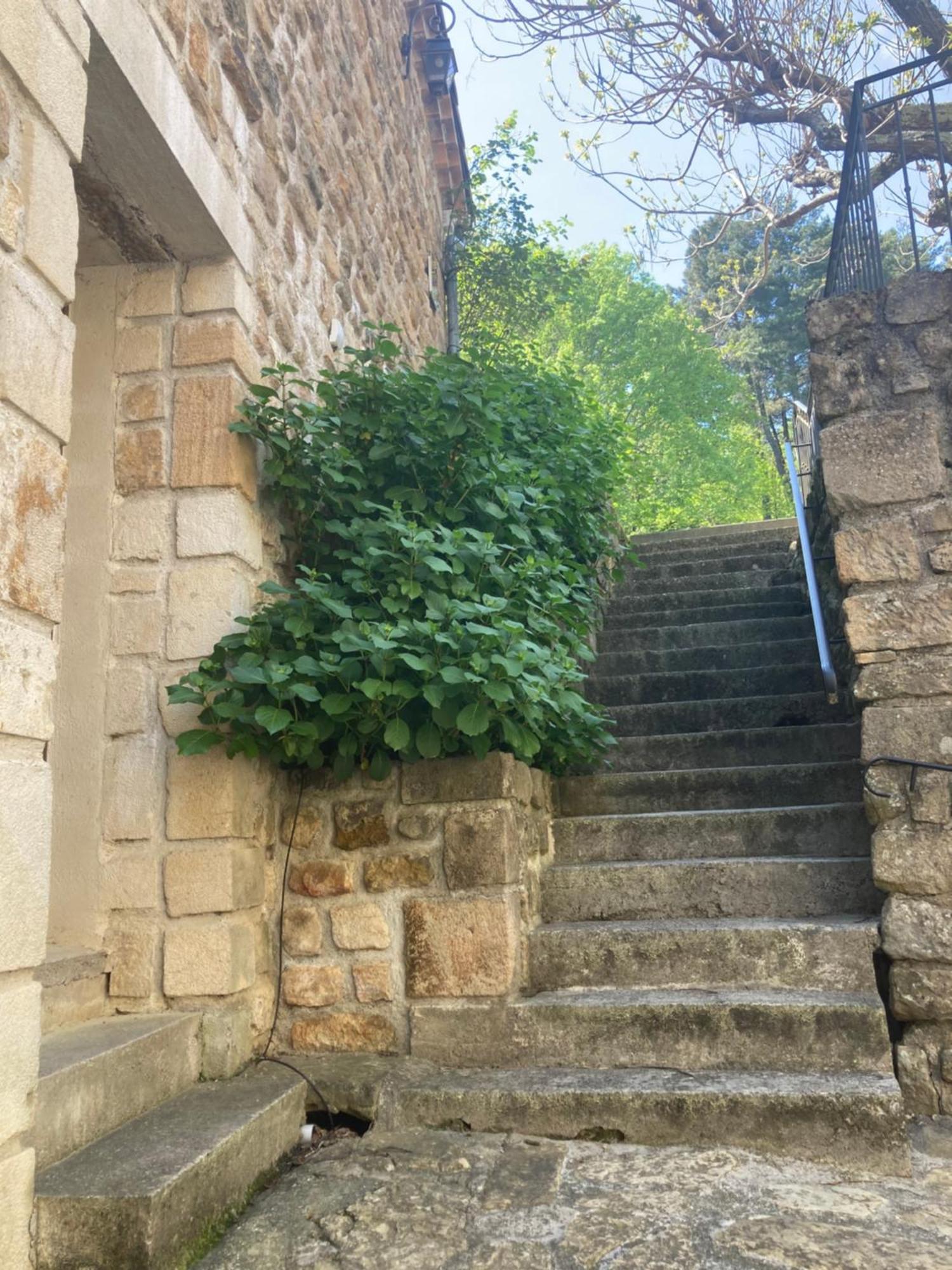 Aux Vieux Arceaux Mercuer Exterior foto